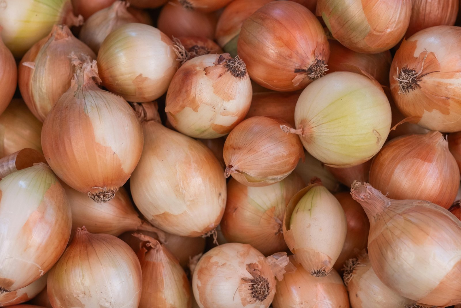 Dehydrated Pink Onion Products